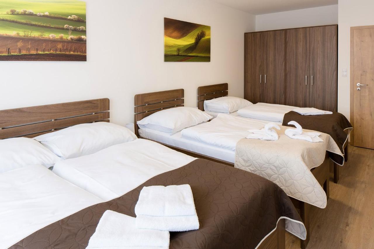 Penzion U Bustiku Sardice Extérieur photo