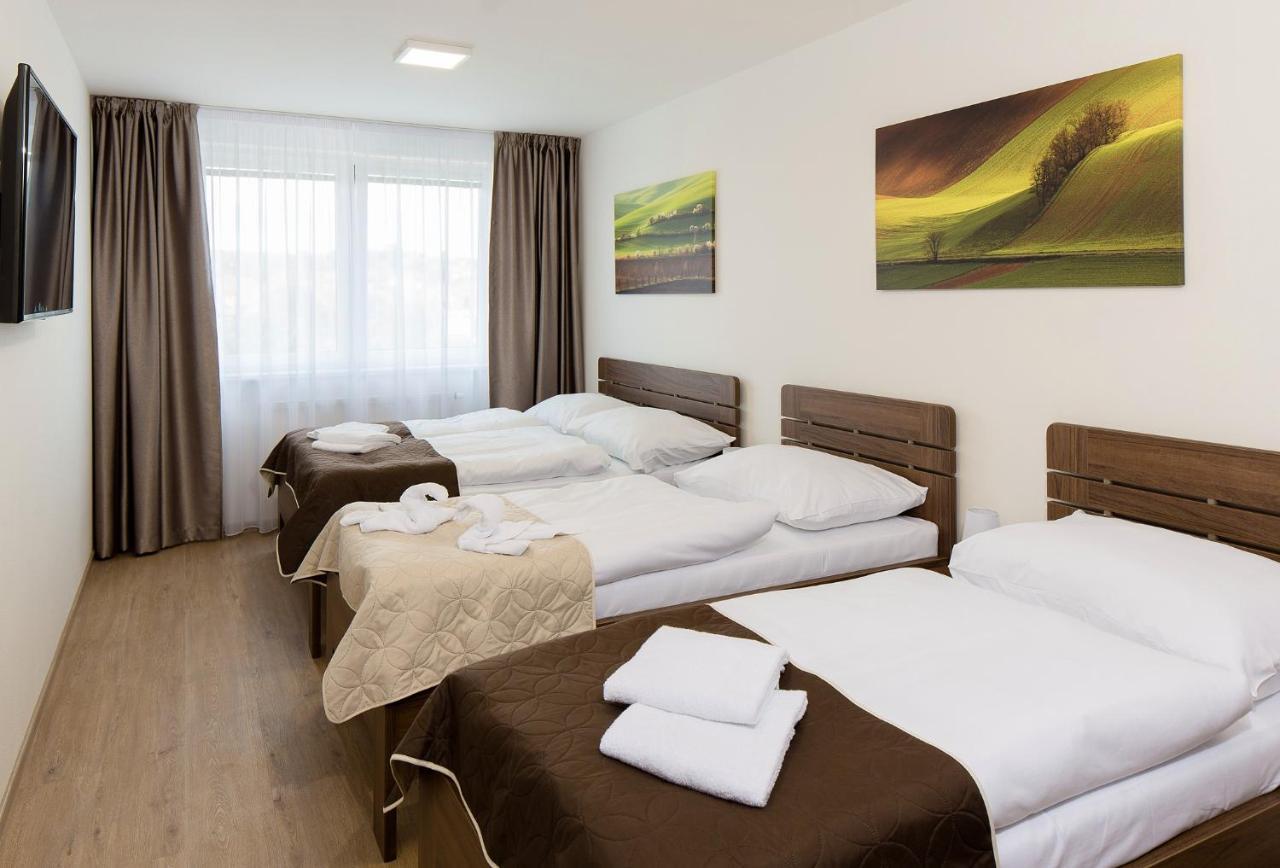 Penzion U Bustiku Sardice Extérieur photo