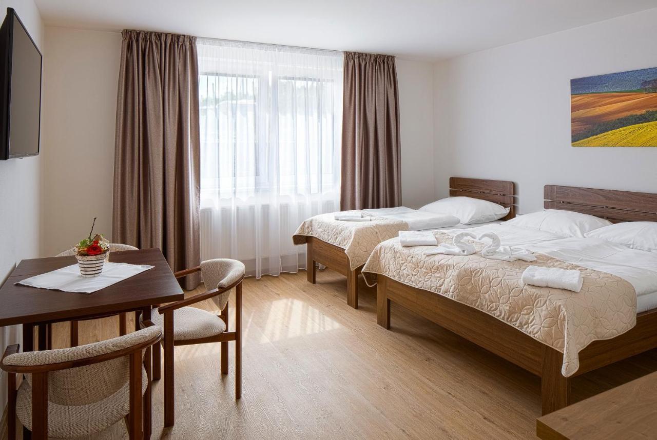 Penzion U Bustiku Sardice Extérieur photo