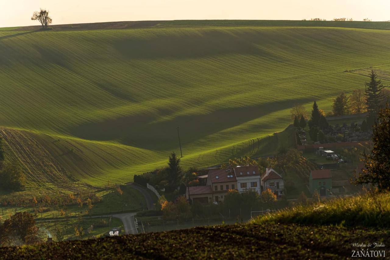 Penzion U Bustiku Sardice Extérieur photo